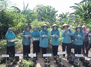 Peringatan Hari Kesatuan Gerak PKK